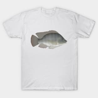 Nile Tilapia T-Shirt